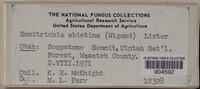 Image Associated With the Occurence